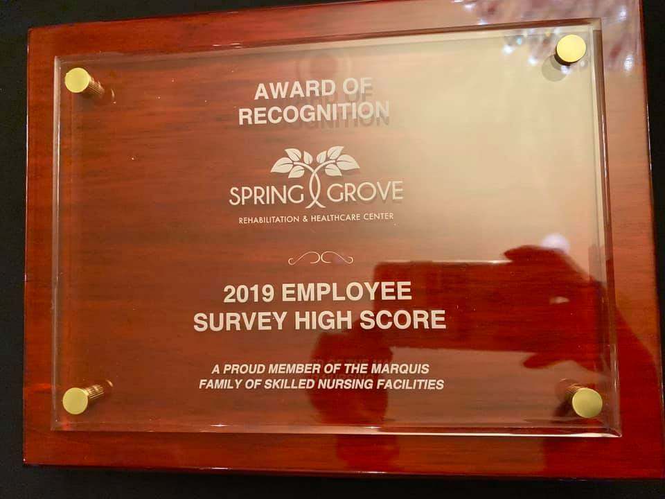 Spring-Grove-Best-Of-Awards-End-of-Year-4